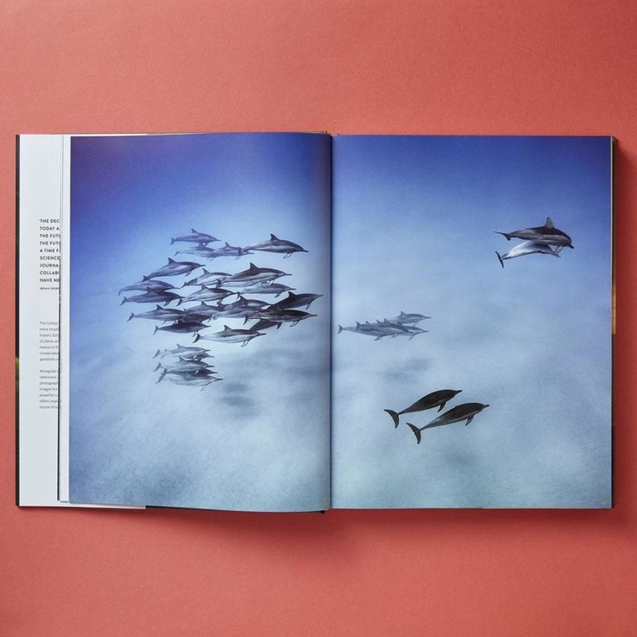 Travel | Human Nature SLATE