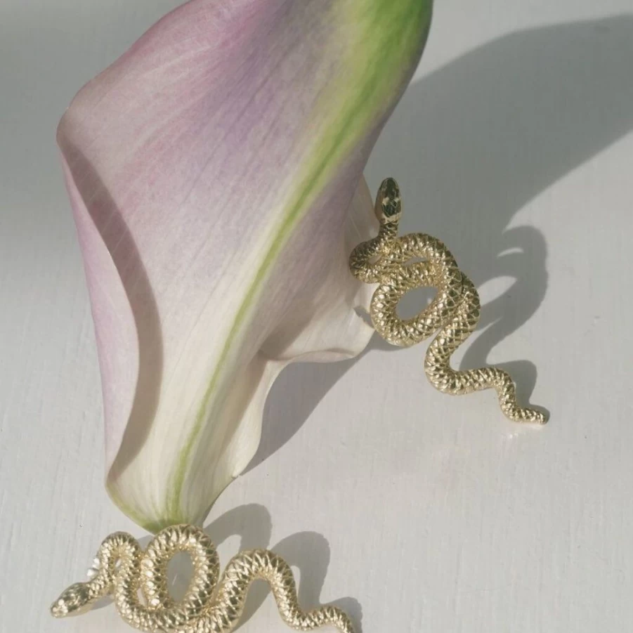 Earrings | Brass Serpent Earrings SLATE